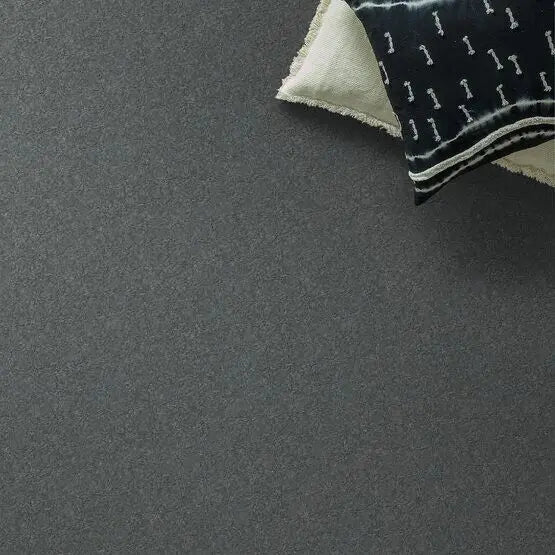 Pet Perfect - Pawparazzi I - Carpet Anderson Tuftex