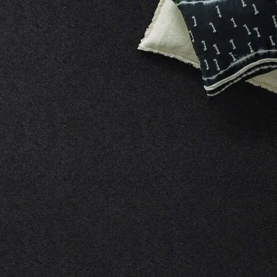 Pet Perfect - Pawparazzi I - Carpet Anderson Tuftex