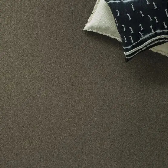 Pet Perfect - Pawparazzi I - Carpet Anderson Tuftex