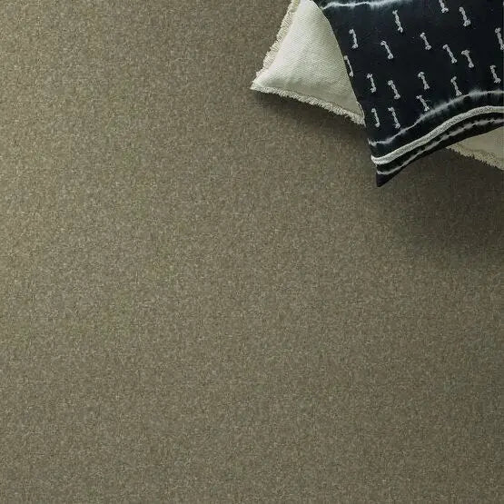 Pet Perfect - Pawparazzi II - Carpet Anderson Tuftex