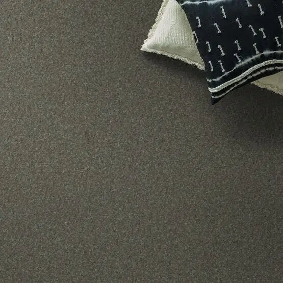 Pet Perfect - Pawparazzi II - Carpet Anderson Tuftex