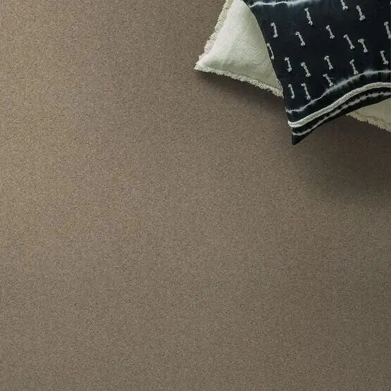 Pet Perfect - Pawparazzi II - Carpet Anderson Tuftex