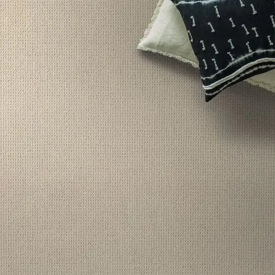 Pet Perfect - Purrfection - Carpet Anderson Tuftex