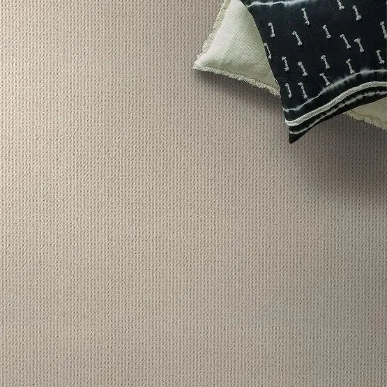 Pet Perfect - Purrfection - Carpet Anderson Tuftex