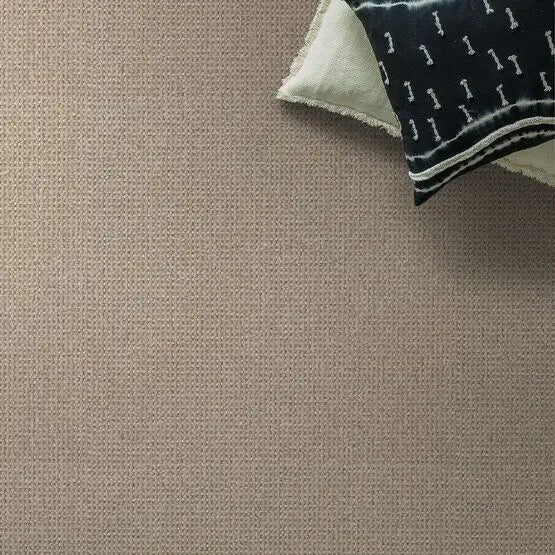 Pet Perfect - Purrfection - Carpet Anderson Tuftex