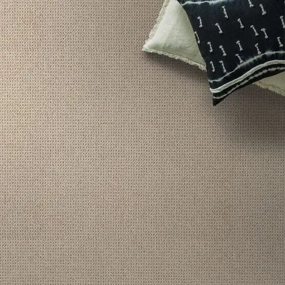 Pet Perfect - Purrfection - Carpet Anderson Tuftex