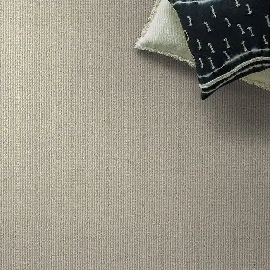 Pet Perfect - Purrfection - Carpet Anderson Tuftex