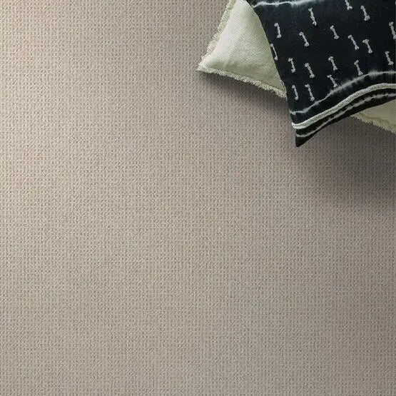 Pet Perfect - Purrfection - Carpet Anderson Tuftex