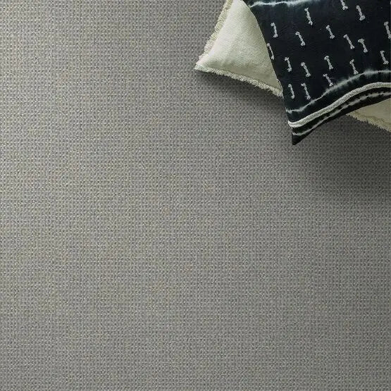 Pet Perfect - Purrfection - Carpet Anderson Tuftex