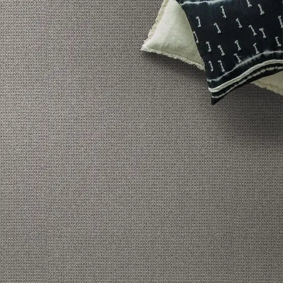 Pet Perfect - Purrfection - Carpet Anderson Tuftex