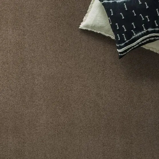 Classics - Explorer - Carpet Anderson Tuftex