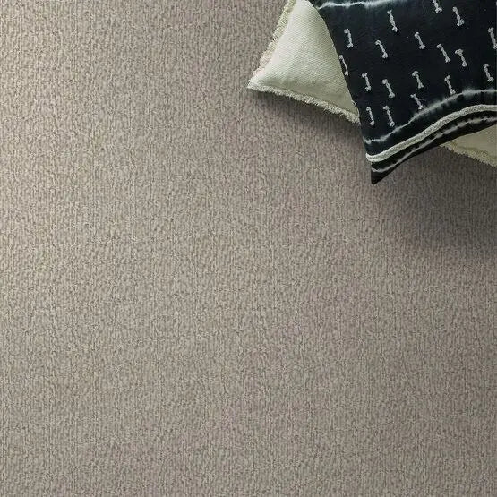 Pet Perfect - Fur-Ever - Carpet Anderson Tuftex