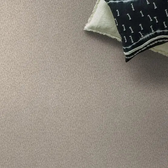 Pet Perfect - Fur-Ever - Carpet Anderson Tuftex