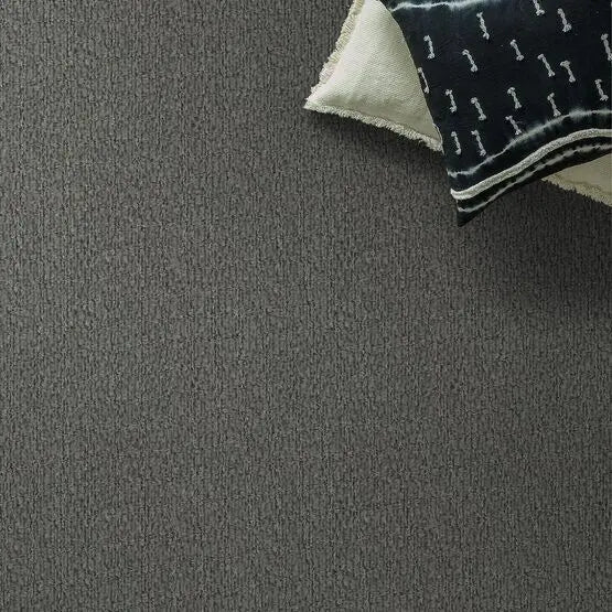 Pet Perfect - Fur-Ever - Carpet Anderson Tuftex