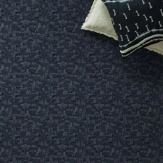 Pet Perfect - Paw-Tay - Carpet Anderson Tuftex