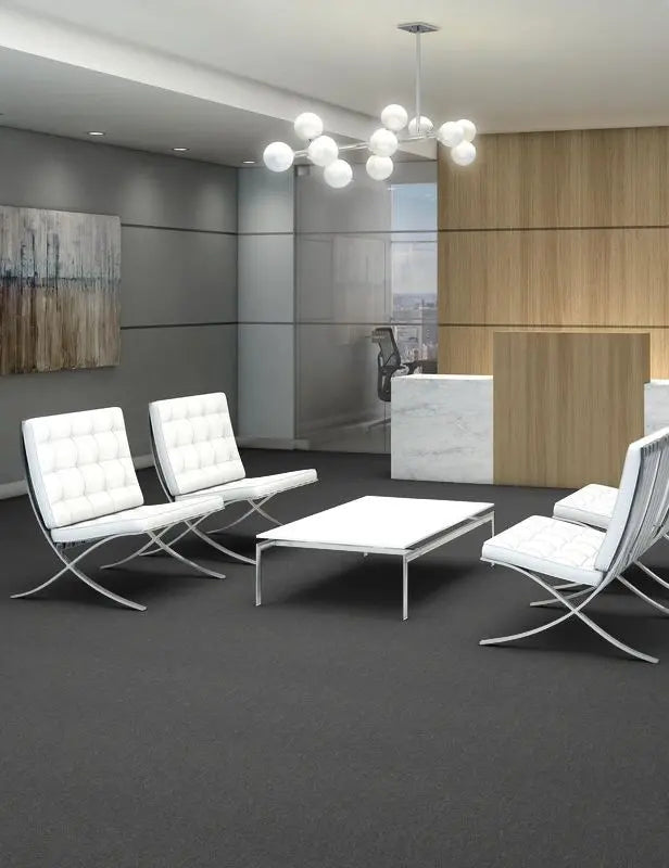 Broadloom - Profusion 20 - Carpet Philadelphia Commercial