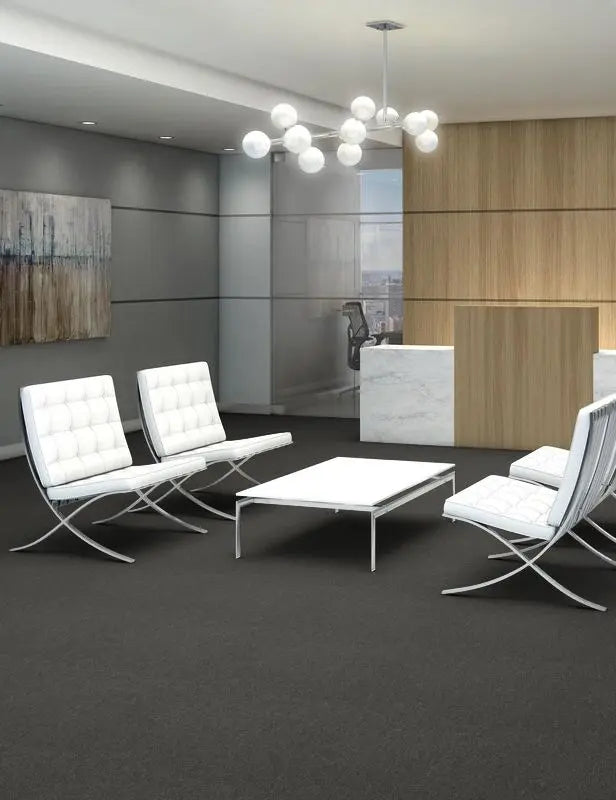 Broadloom - Profusion 20 - Carpet Philadelphia Commercial