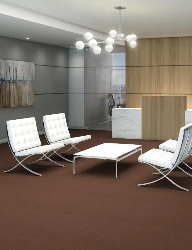 Broadloom - Profusion 20 - Carpet Philadelphia Commercial