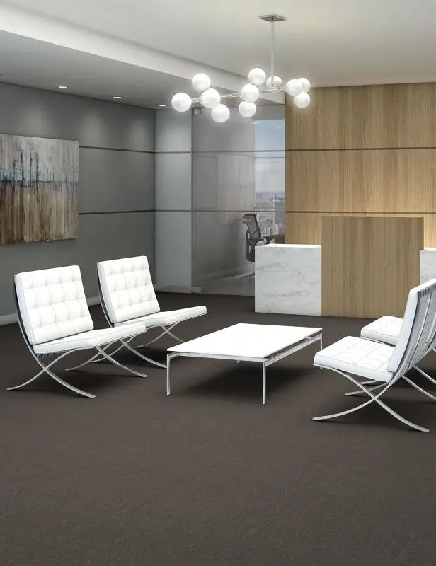 Broadloom - Profusion 20 - Carpet Philadelphia Commercial