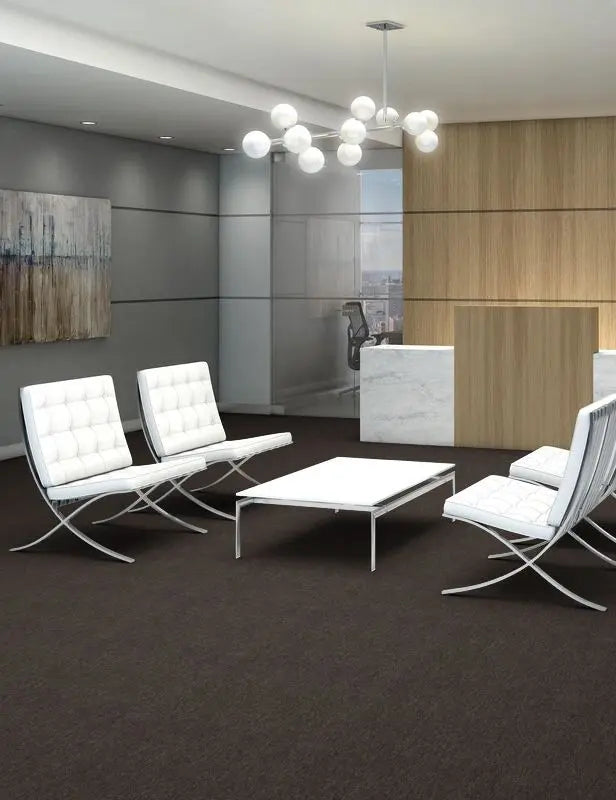 Broadloom - Profusion 20 - Carpet Philadelphia Commercial