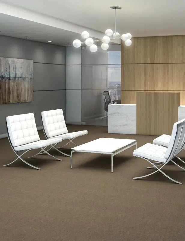 Broadloom - Profusion 26 - Carpet Philadelphia Commercial