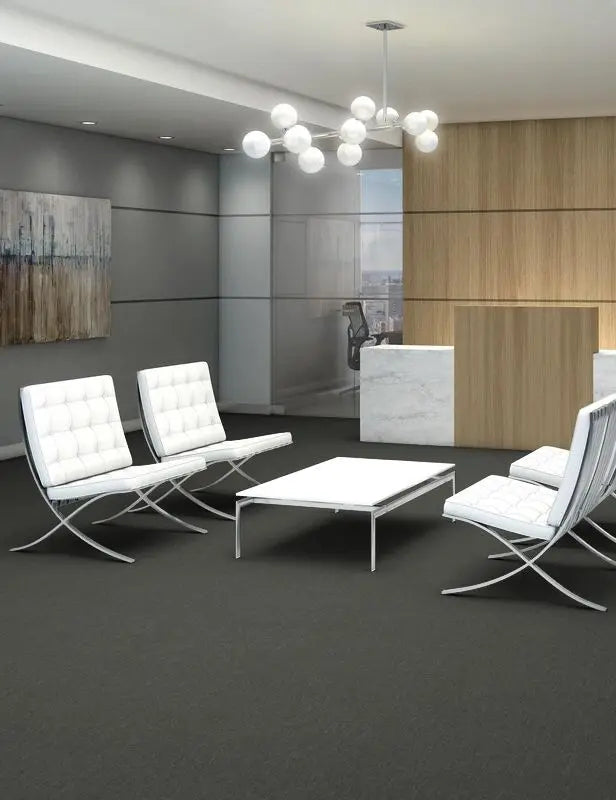 Broadloom - Profusion 26 - Carpet Philadelphia Commercial
