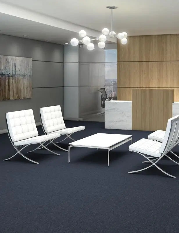 Broadloom - Profusion 26 - Carpet Philadelphia Commercial