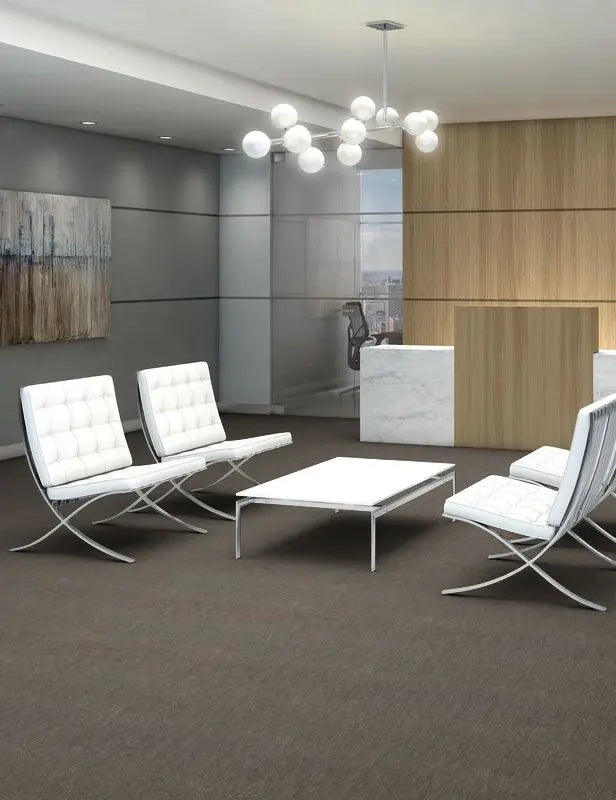 Broadloom - Profusion 26 - Carpet Philadelphia Commercial