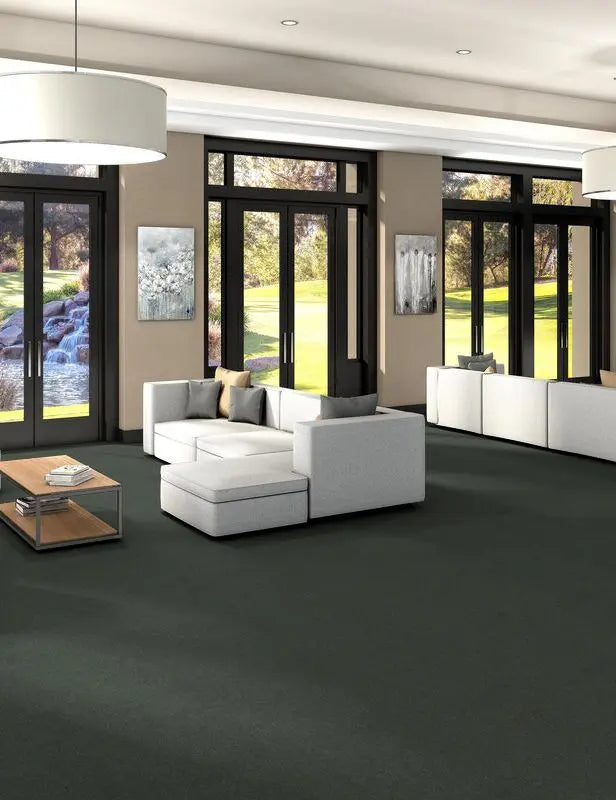 Broadloom - Profusion - Carpet Philadelphia Commercial
