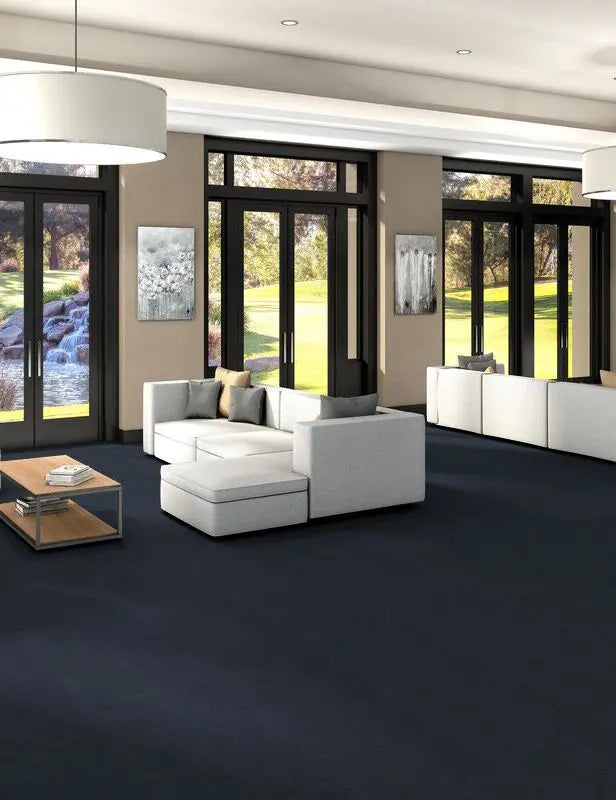 Broadloom - Profusion 20 - Carpet Philadelphia Commercial