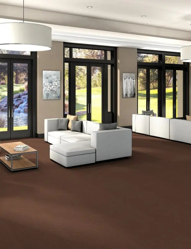 Broadloom - Profusion 20 - Carpet Philadelphia Commercial