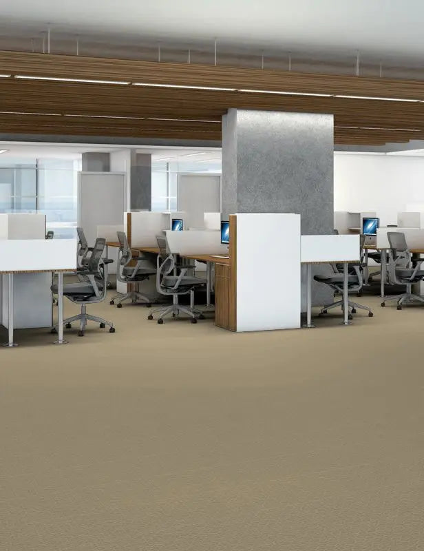 Broadloom - Be Open - Carpet Philadelphia Commercial