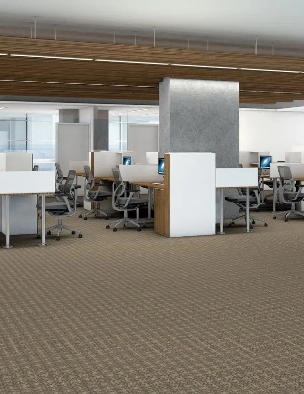 Broadloom - Be Real - Carpet Philadelphia Commercial
