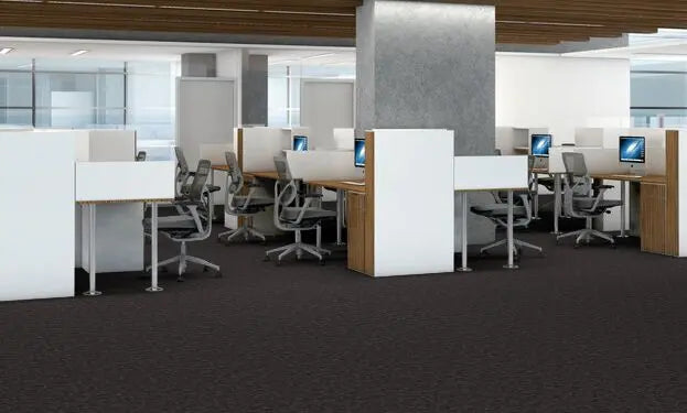 Broadloom - Elemental - Carpet Philadelphia Commercial