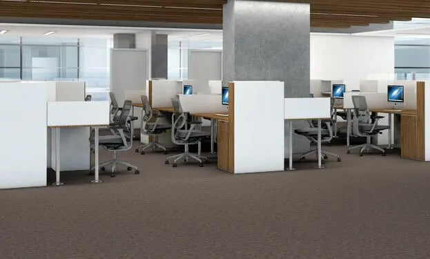 Broadloom - Elemental - Carpet Philadelphia Commercial