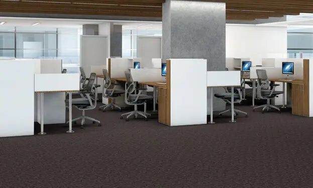 Broadloom - Elemental - Carpet Philadelphia Commercial
