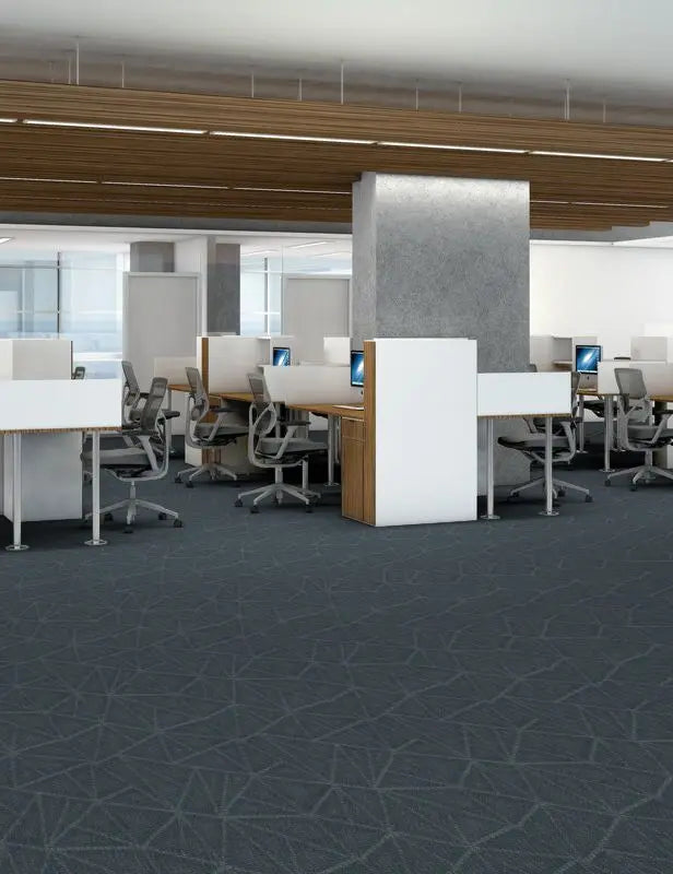 Broadloom - Engrain - Carpet Philadelphia Commercial