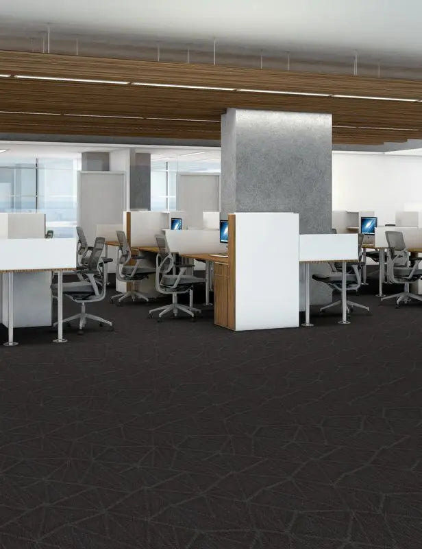 Broadloom - Engrain - Carpet Philadelphia Commercial