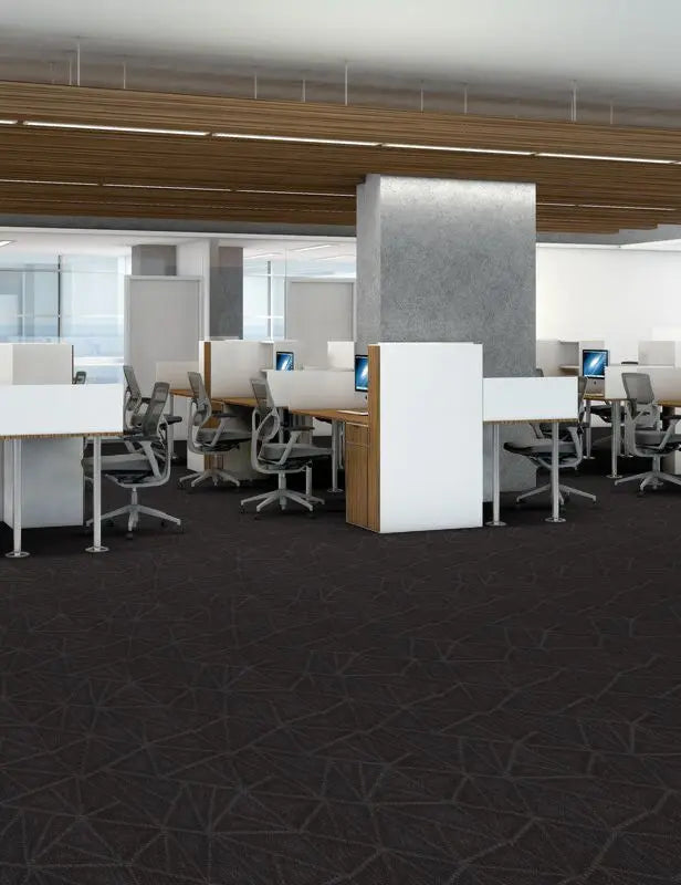 Broadloom - Engrain - Carpet Philadelphia Commercial