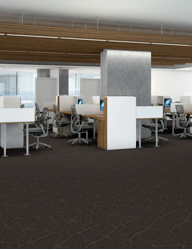 Broadloom - Refine - Carpet Philadelphia Commercial