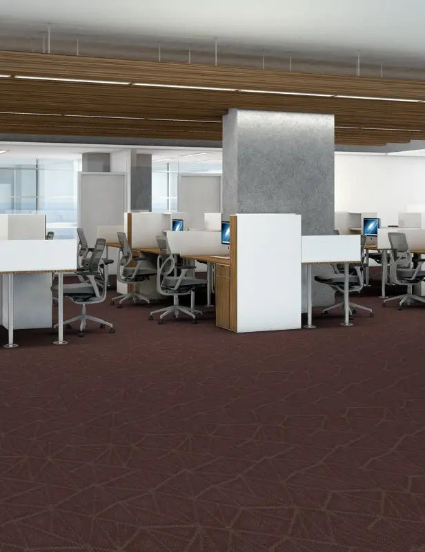 Broadloom - Engrain - Carpet Philadelphia Commercial