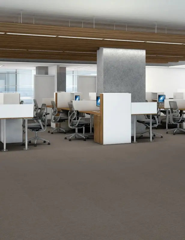 Broadloom - Profusion 20 - Carpet Philadelphia Commercial