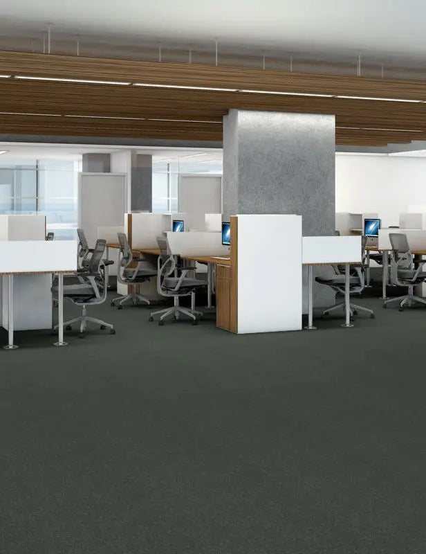 Broadloom - Profusion - Carpet Philadelphia Commercial
