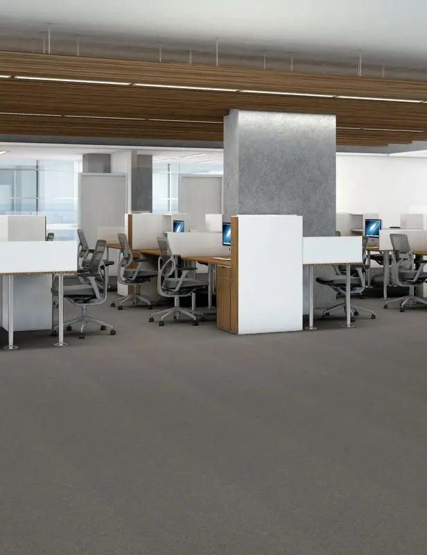 Broadloom - Profusion 20 - Carpet Philadelphia Commercial