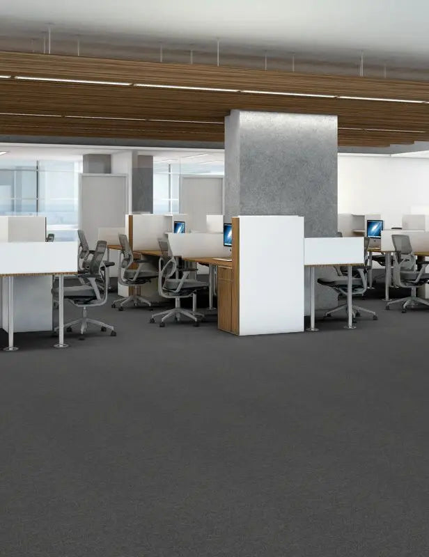 Broadloom - Profusion - Carpet Philadelphia Commercial