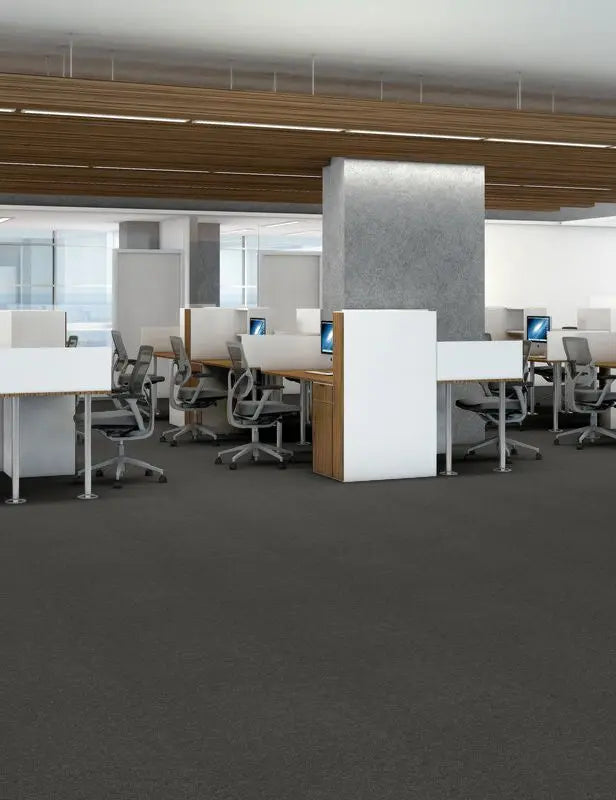 Broadloom - Profusion 20 - Carpet Philadelphia Commercial