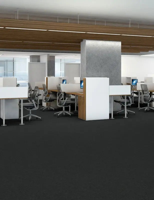 Broadloom - Profusion 20 - Carpet Philadelphia Commercial