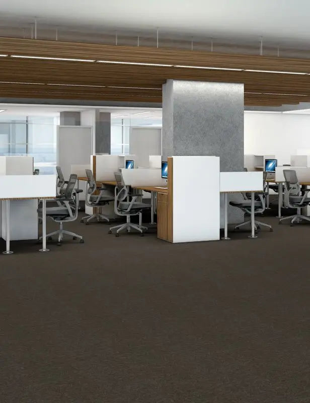 Broadloom - Profusion 20 - Carpet Philadelphia Commercial