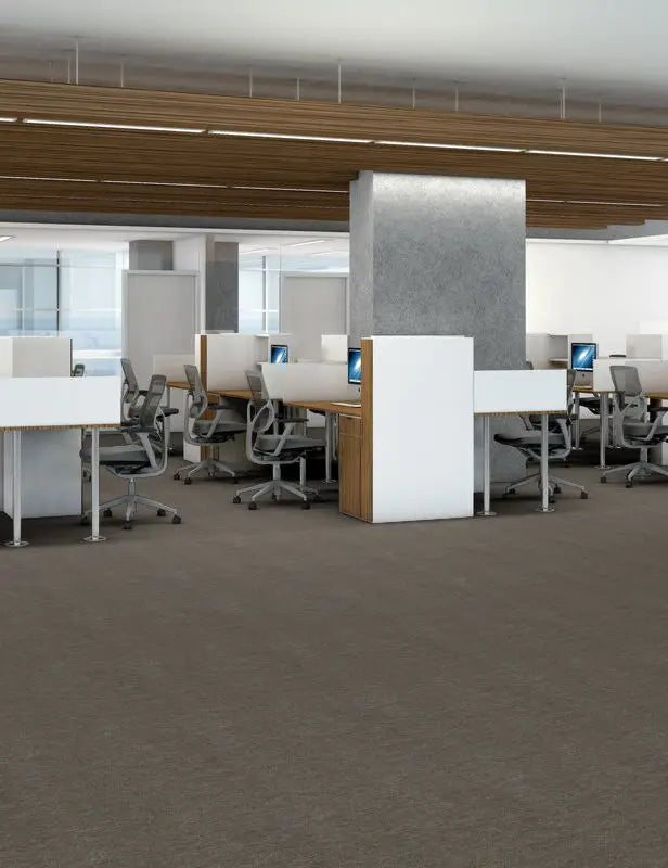 Broadloom - Profusion - Carpet Philadelphia Commercial