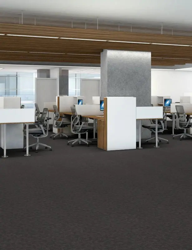 Broadloom - Format - Carpet Philadelphia Commercial